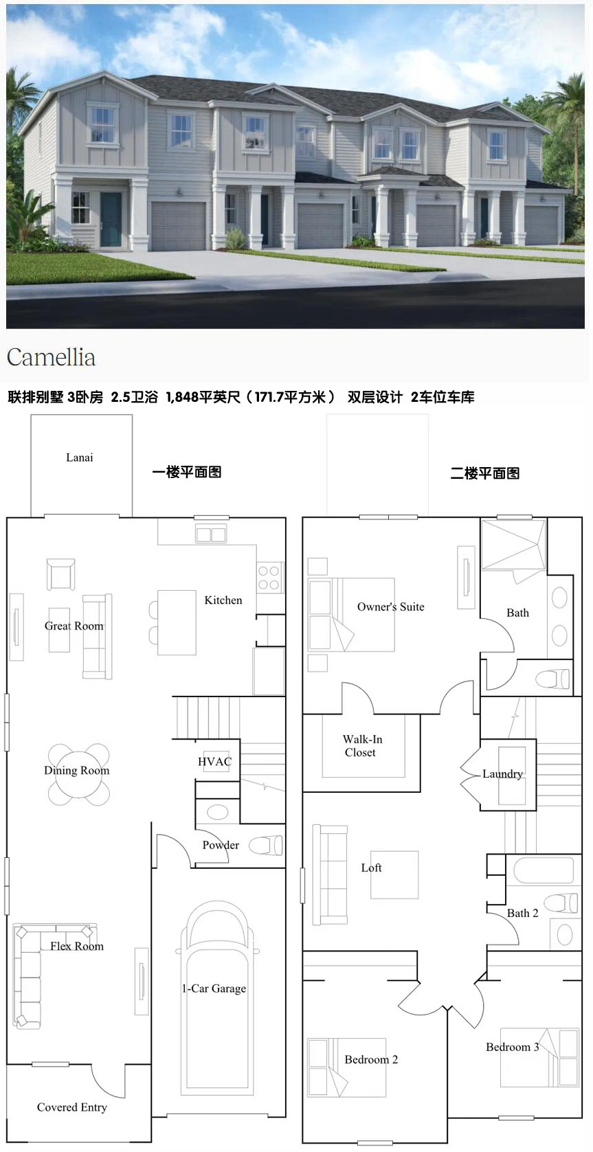 LW-02 Camellia副本.jpg