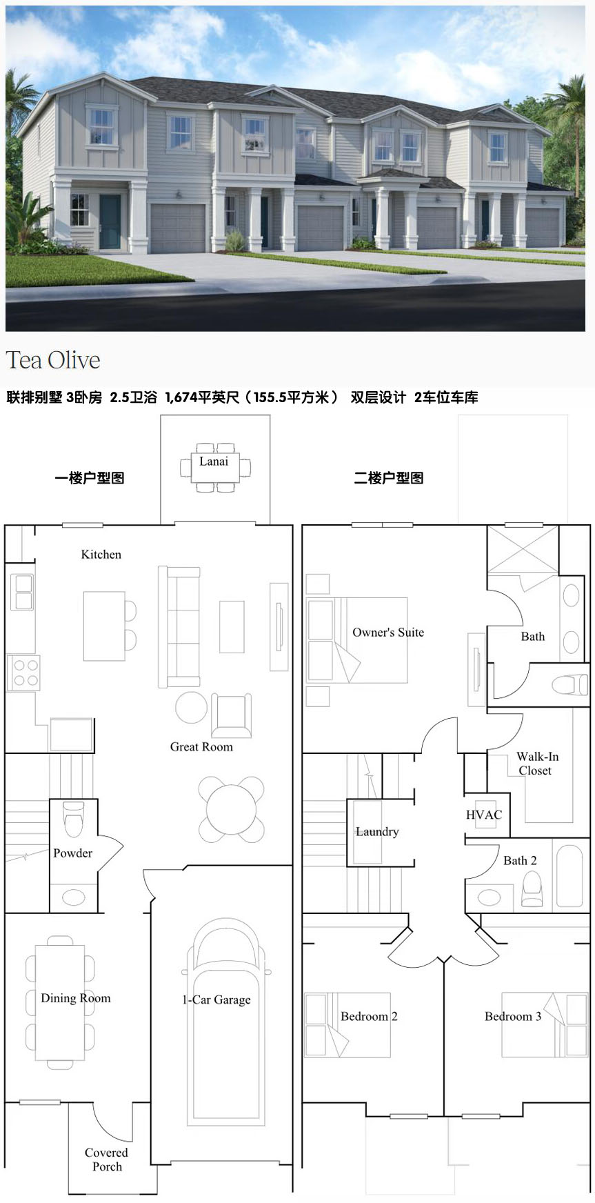 LW-03 Tea Olive副本.jpg